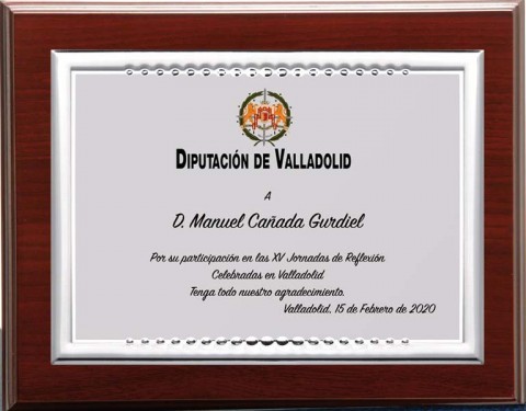 (139) placa de homenaje madera economica 