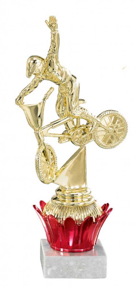 (223)  trofeo abs porta serie d 