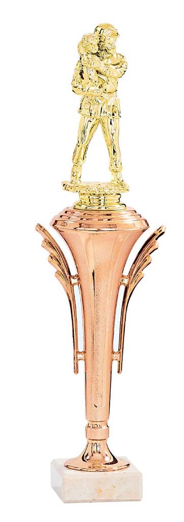 (223)  trofeo abs porta serie d  
