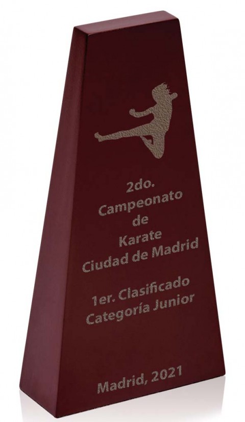 (17)  madera grab. laser/uvi 