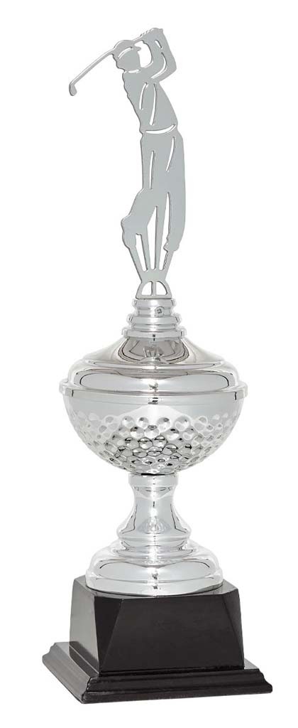 (193)  trofeo especial golf