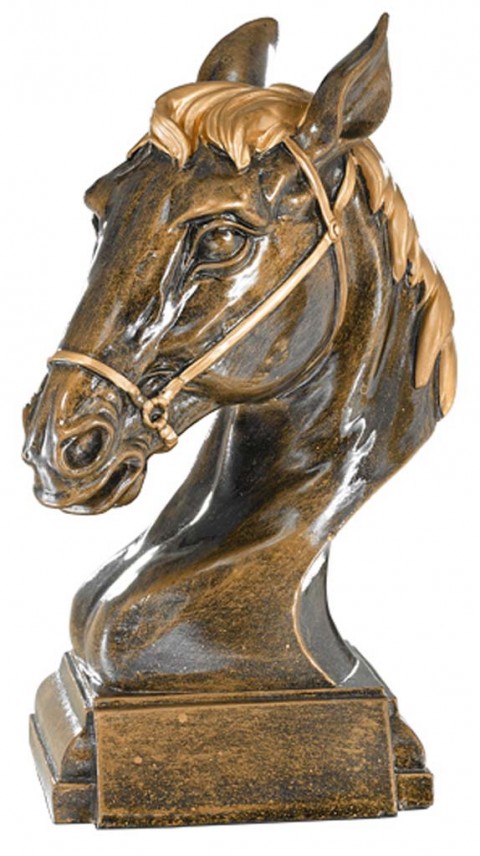 (202)  resina  equitacion 