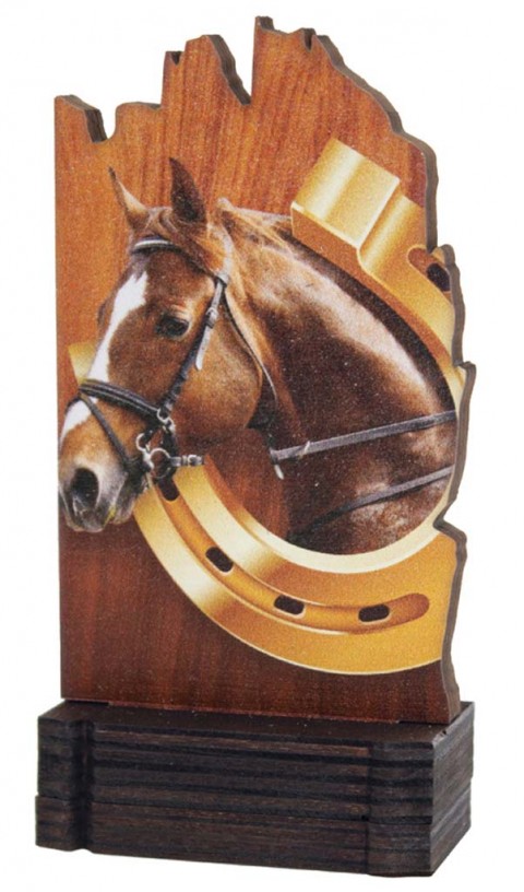(245)  trofeo madera hipica