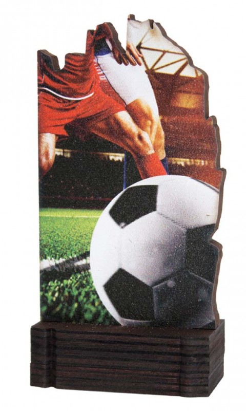 (245)  trofeo madera futbol masculino 