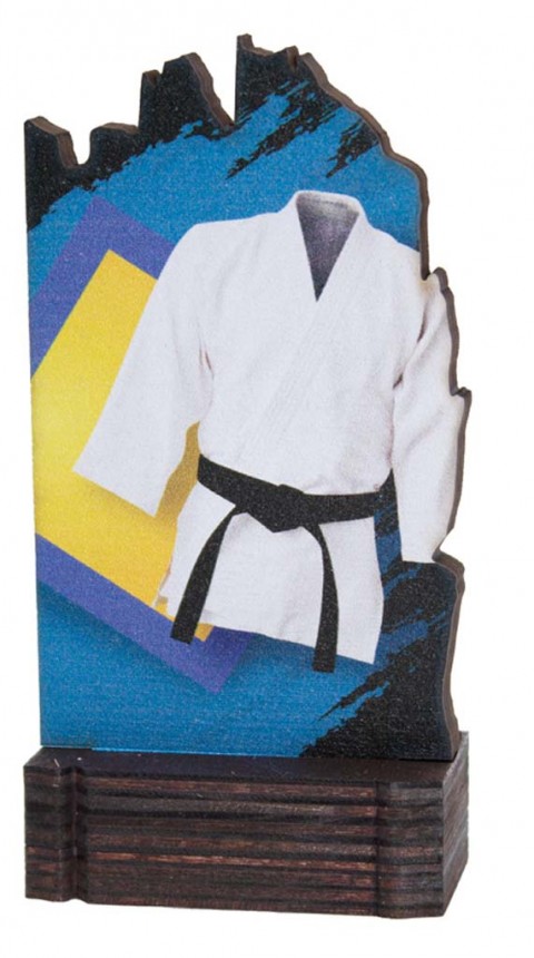 (246)  trofeo madera artes marciales 