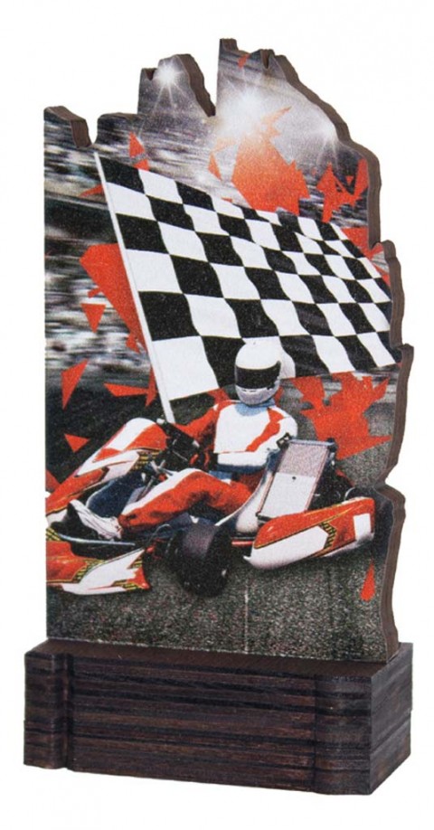 (246)  trofeo madera karts 