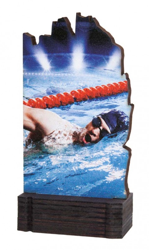 (246)  trofeo madera natacion