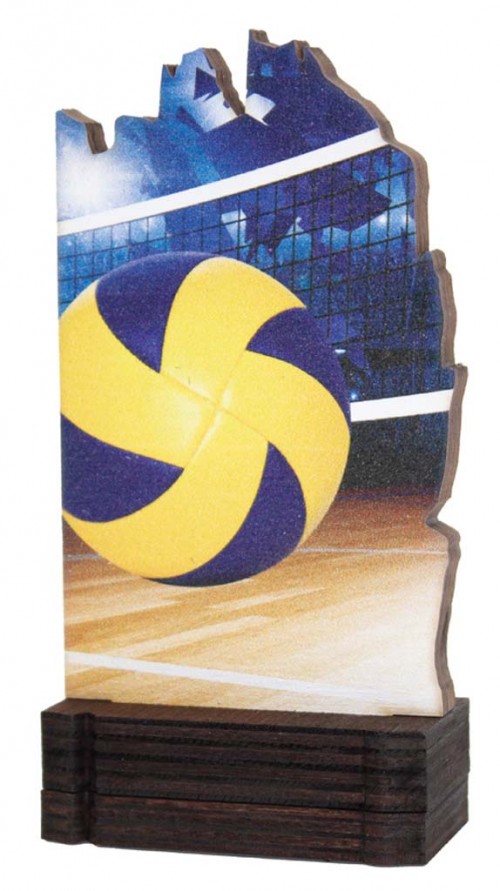 (246)  TROFEO MADERA VOLEIBOL 