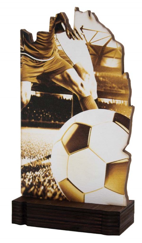 (247)  trofeo madera futbol