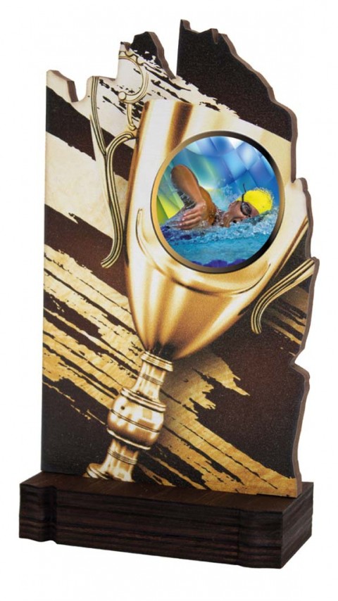 (248)  trofeo madera alegorico portadiscos
