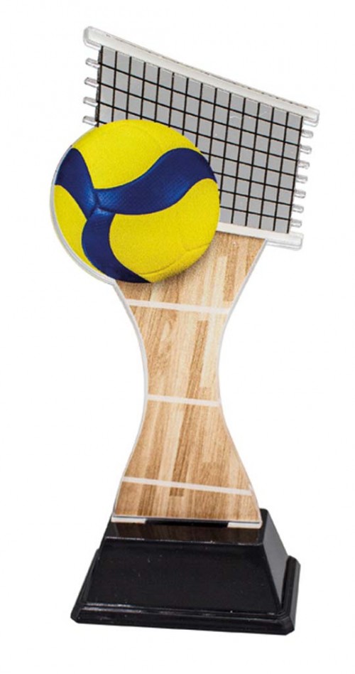 (249)  TROFEO METACRILATO VOLEIBOL