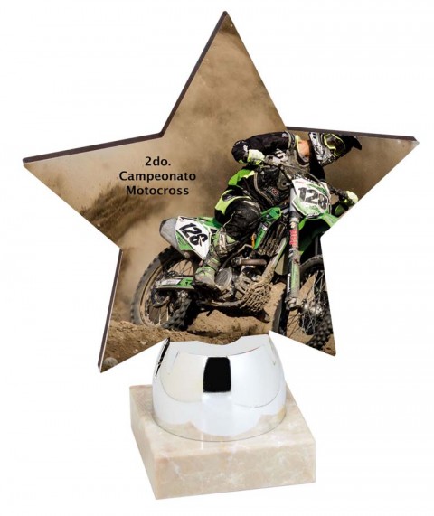 (154)  trofeo personalizable 