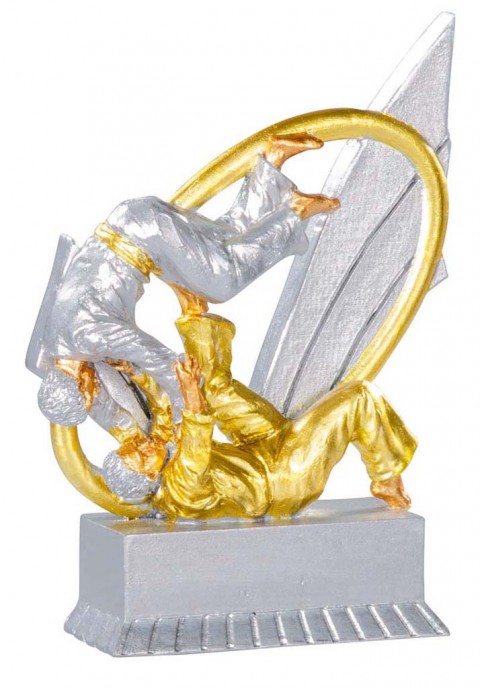 (196)   resina judo