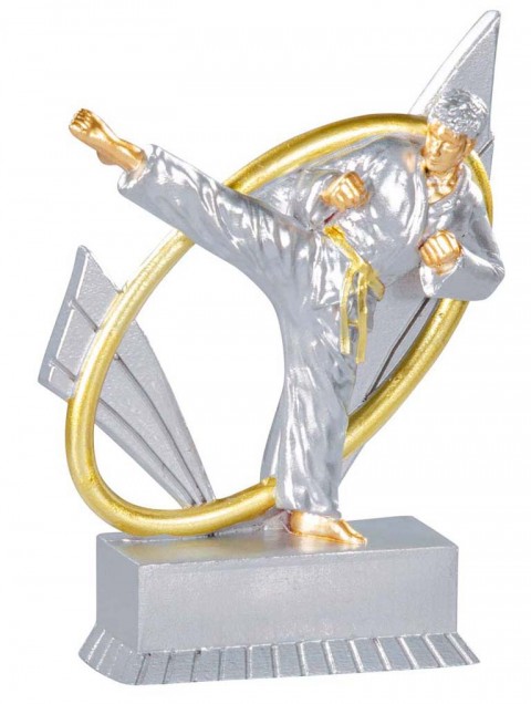(196)   resina karate 
