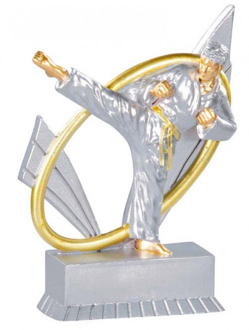 (196)   RESINA KARATE 