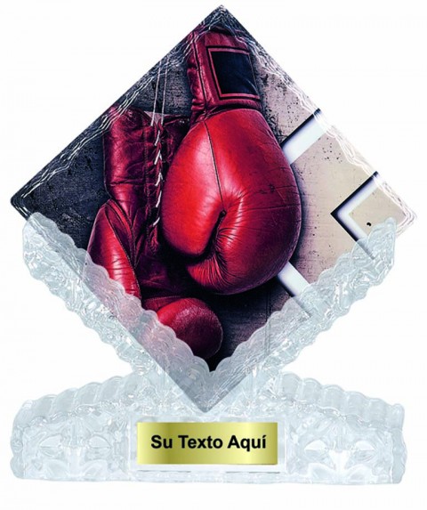 (205)   t. ceramica boxeo 