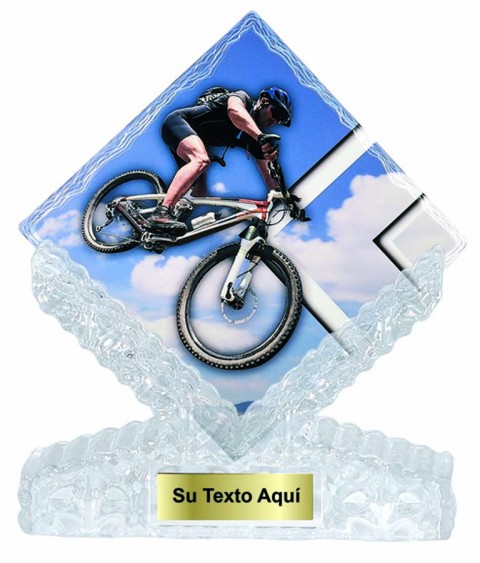 (205)   t. ceramica ciclismo 