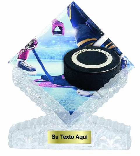 (206)   t. ceramica hockey 