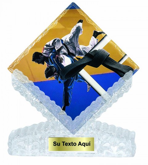 (206)   t. ceramica judo