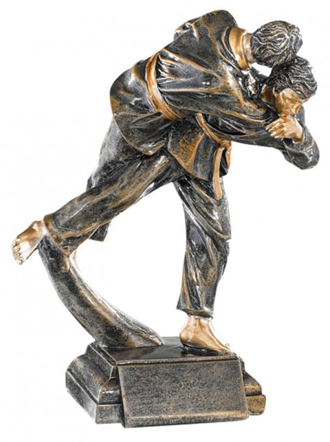 (198)  resina judo 