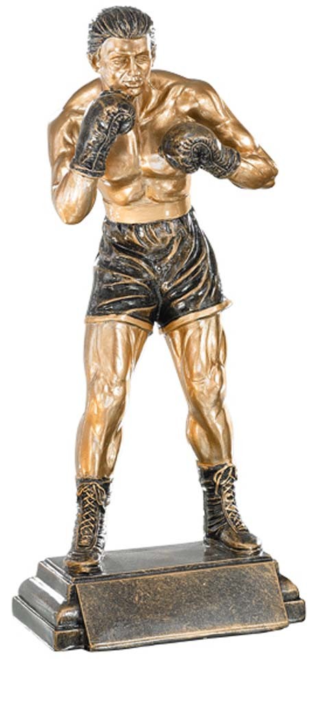 (198)  resina boxeo 
