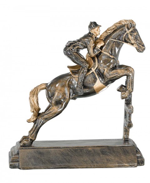 (199)  resina equitacion 