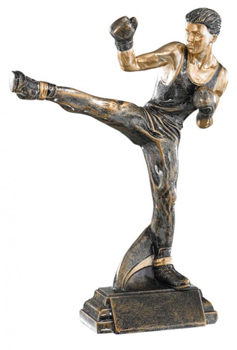 (198)  resina artes marciales 