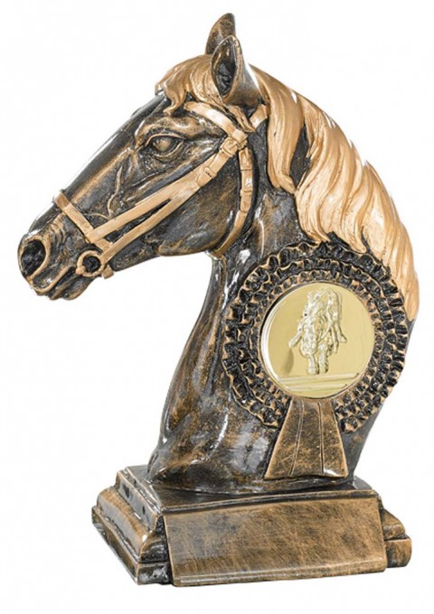 (199)  resina  equitacion 
