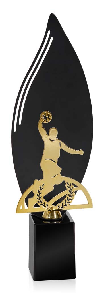 (243)  serie 55200 baloncesto