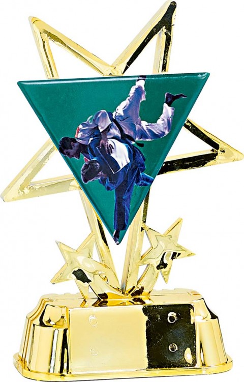 (213)  trofeo con aplique de ceramica judo  