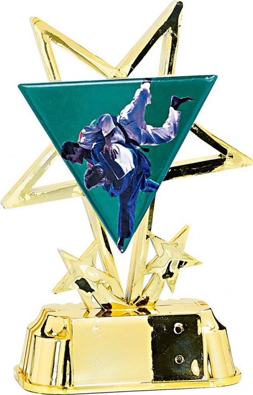 (213)  TROFEO CON APLIQUE DE CERAMICA JUDO  