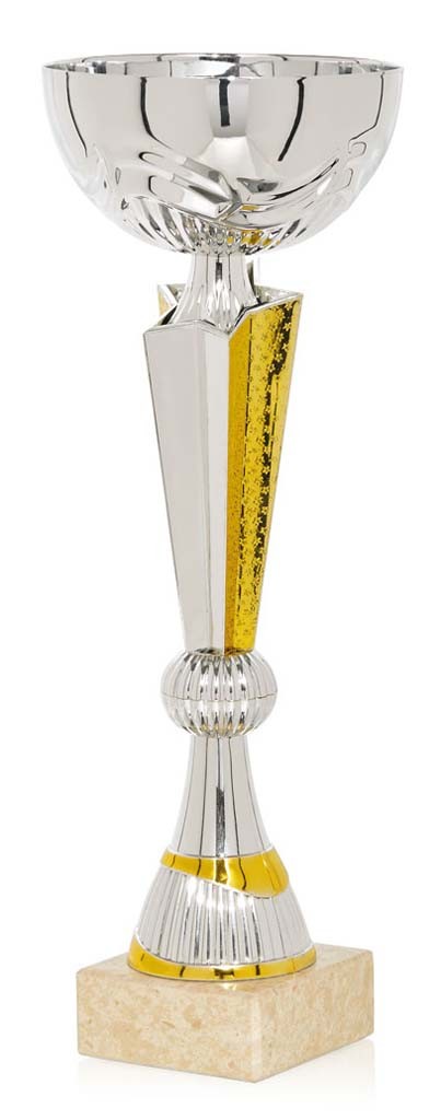 (61)  copa economica plata / oro  