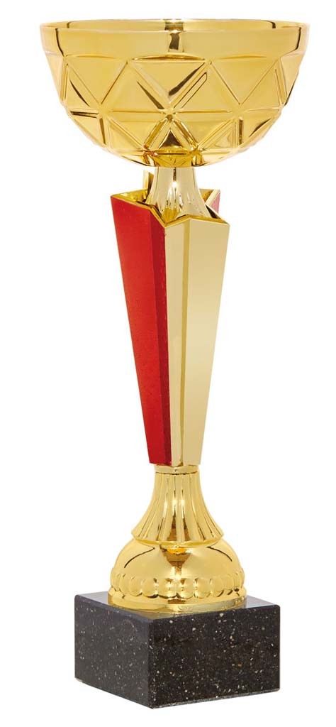 (62)  copa economica 