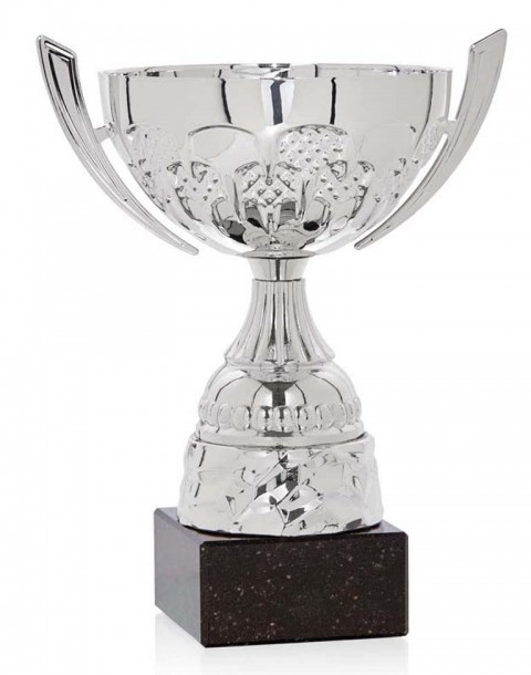 (81)  copa clasica