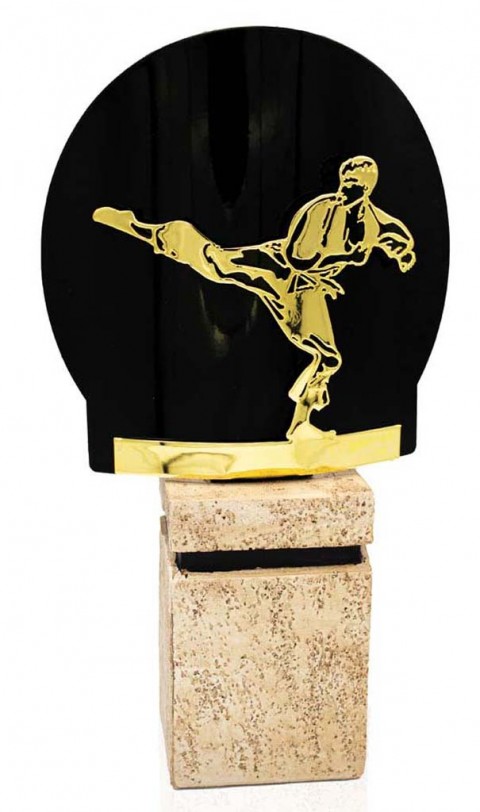 (239) 26/25 trofeo metal artes marciales oro 
