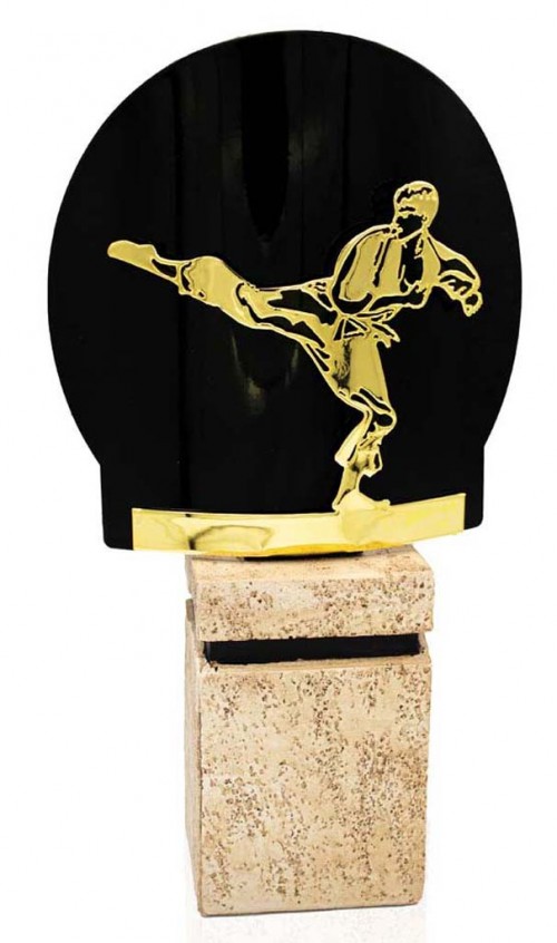 (239) 26/25 TROFEO METAL ARTES MARCIALES ORO 
