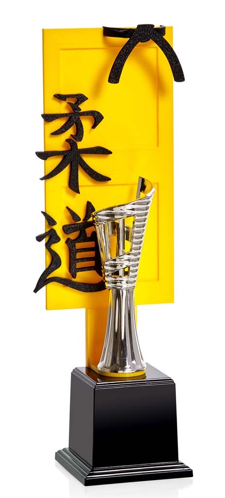 (59)  trofeo 3d judo  