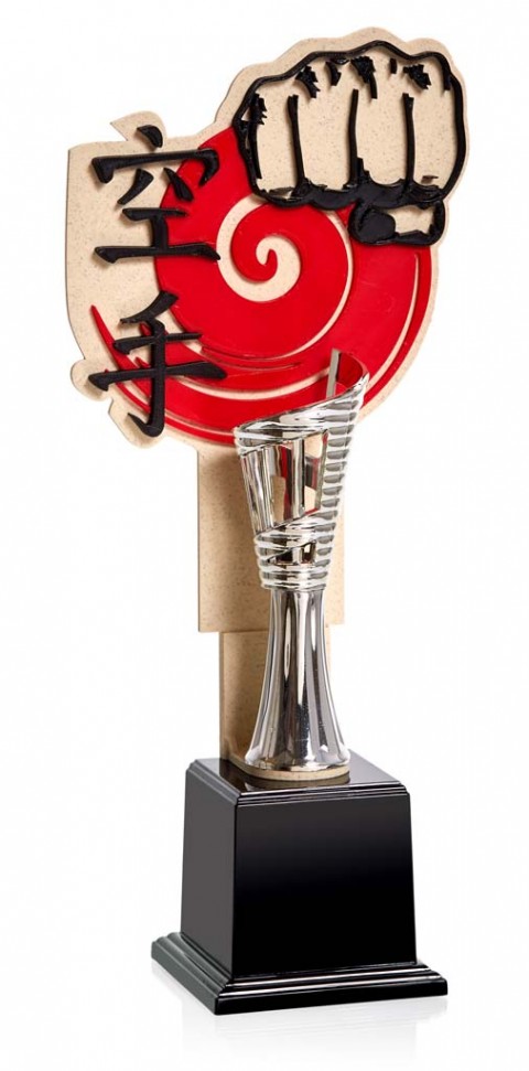 (59)  trofeo 3d karate 