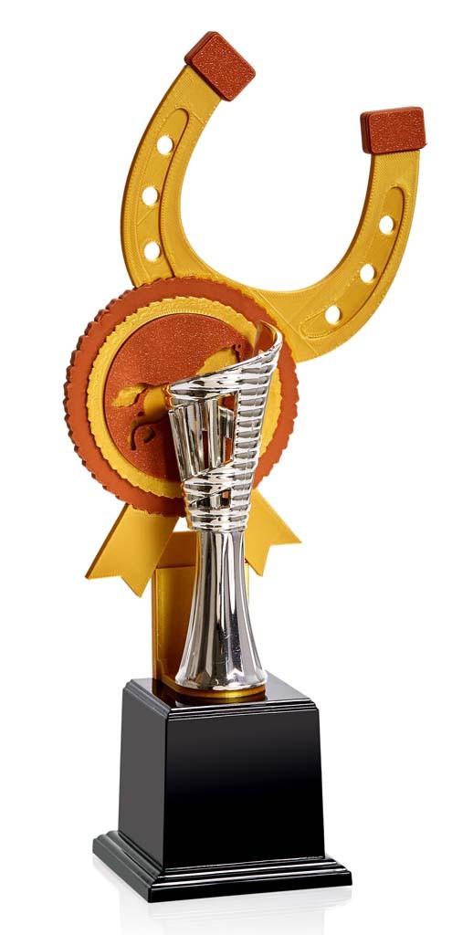 (60)  TROFEO 3D HPICA 