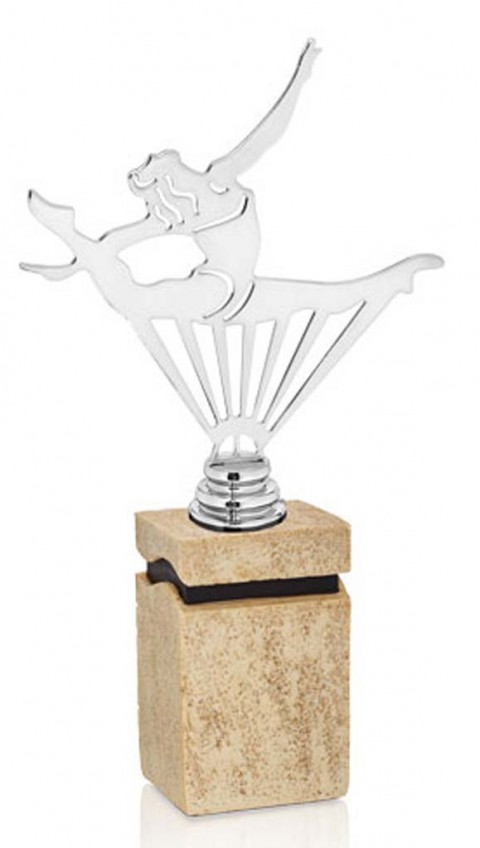 (231)  trofeo metal gimnasia