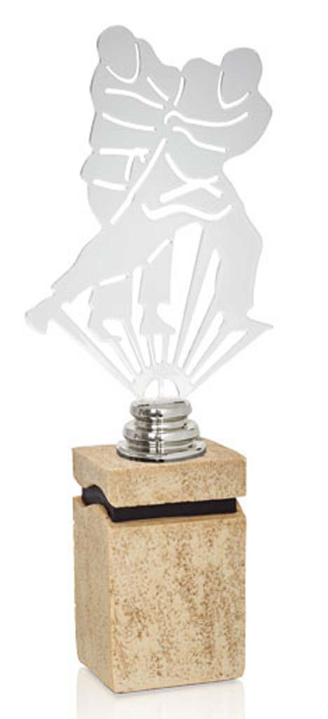 (231)  trofeo metal judo 