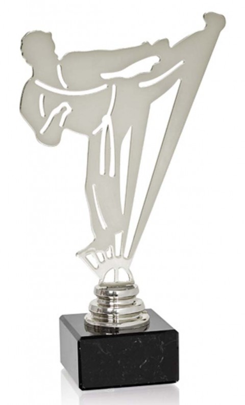 (230)  trofeo metal artes marciales  metal