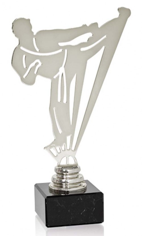 (230)  TROFEO METAL ARTES MARCIALES  METAL