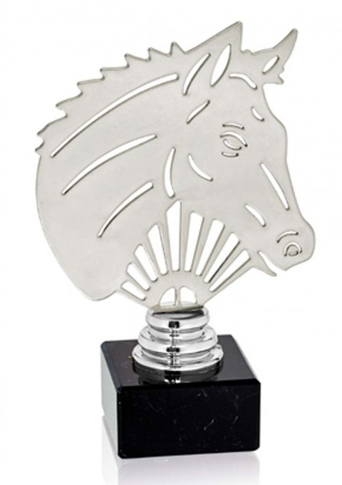 (230)  trofeo metal hpica
