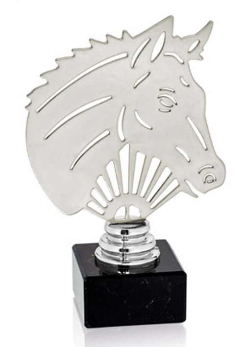 (230)  TROFEO METAL HPICA