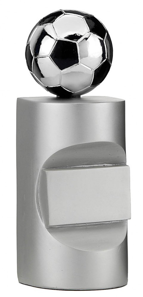 trofeo resina futbol