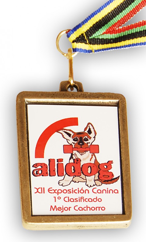 medalla color 5 x 4 cm