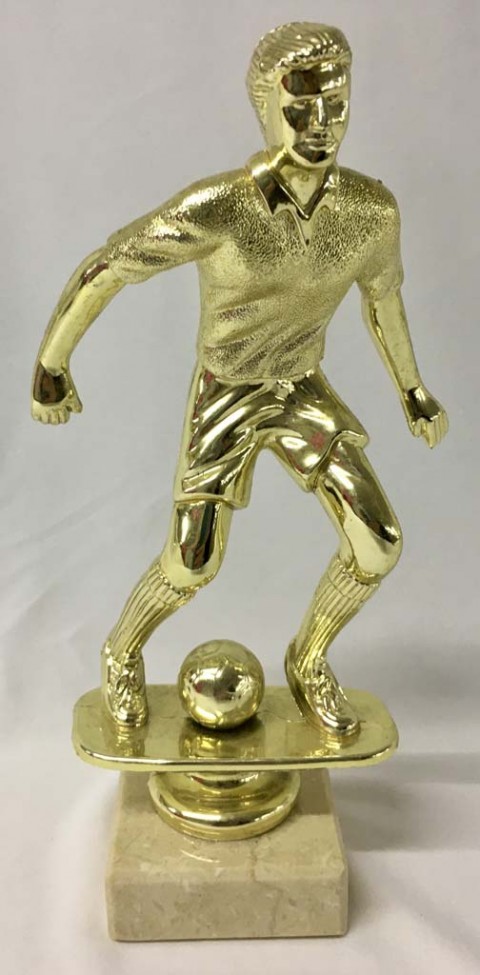 Comprar Trofeos, copas, medallas, placas de homenaje y Textil - Trofeos  Economicos