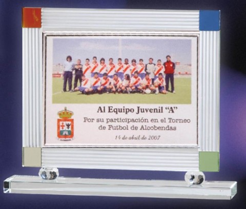 armazon cristal optico color porta placa