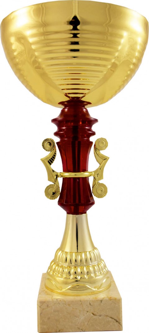 copa oferta economica 